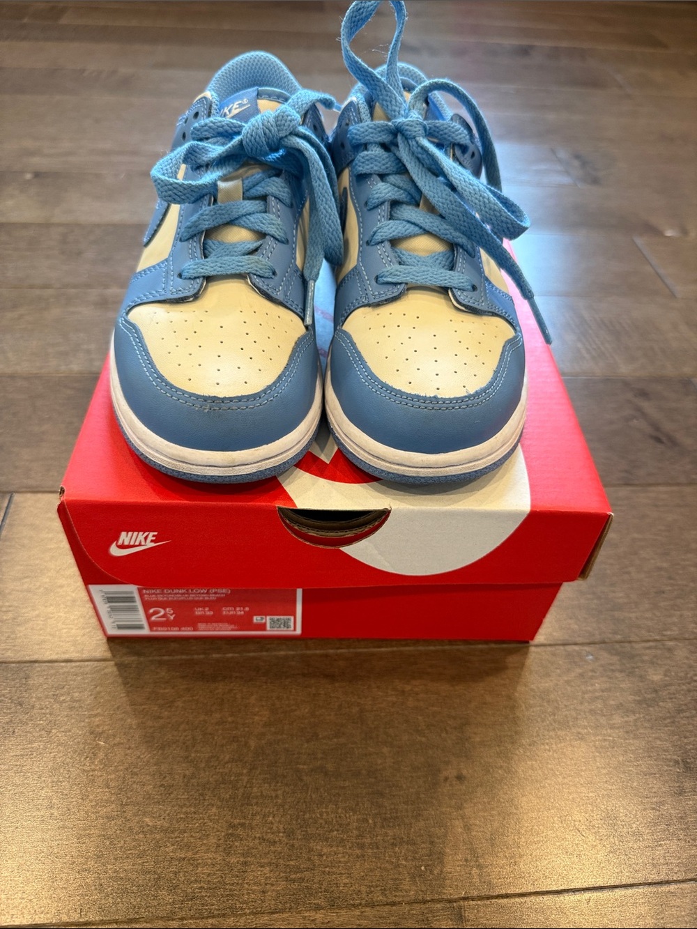 Nike Kids Low-Top Sneakers in Light Blue and White with Lace-Up Closure